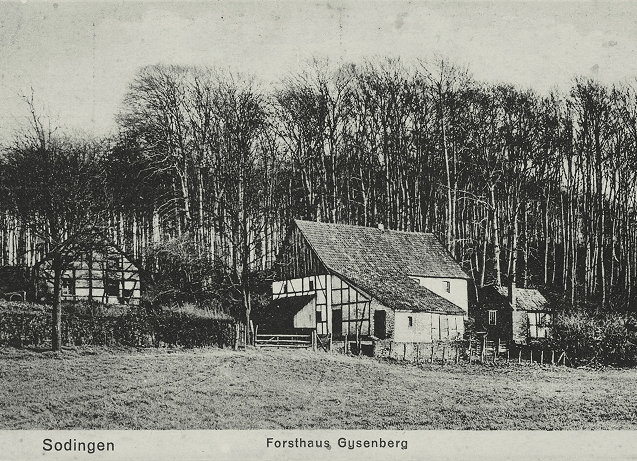 Ursprung im Wald